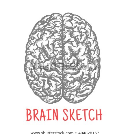  Self Improvement Plan Essay